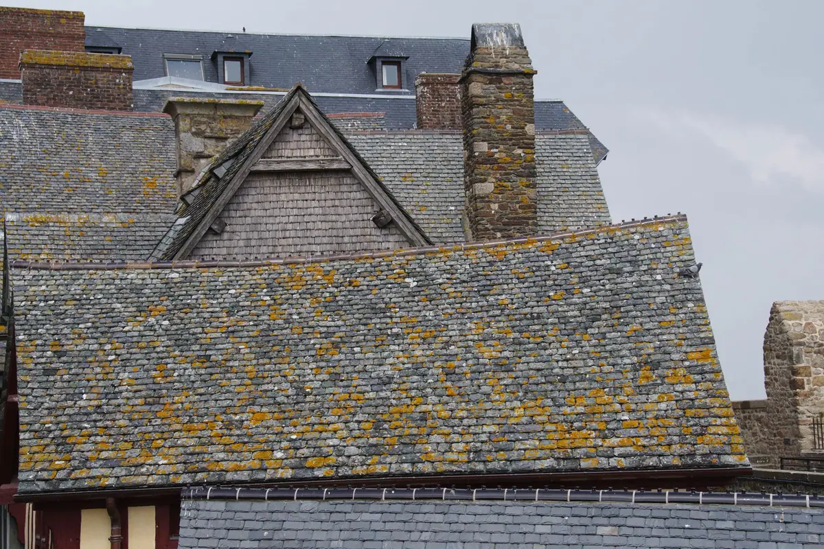 Maison couverte d'ardoises marquées de lichens clairs sur tout le versant