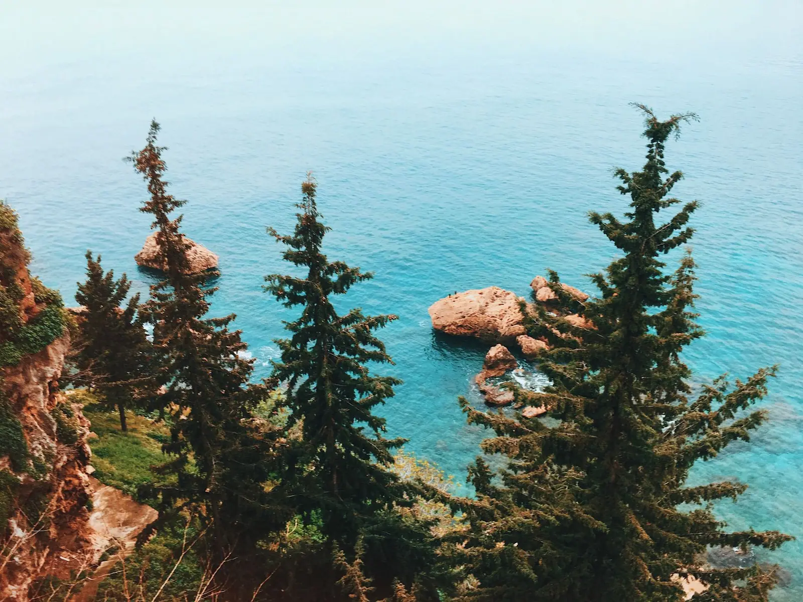 Pins accrochés à des rochers rouges au-dessus d'une eau turquoise