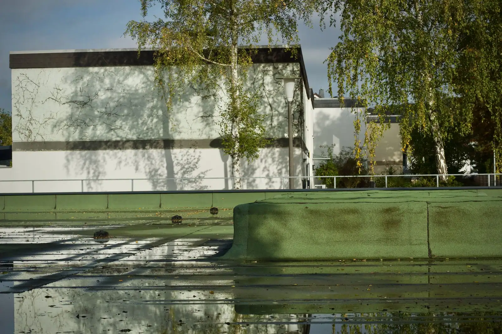 Toit plat où l'eau stagne en large flaque sur le revêtement, relevé et évacuations visibles au fond