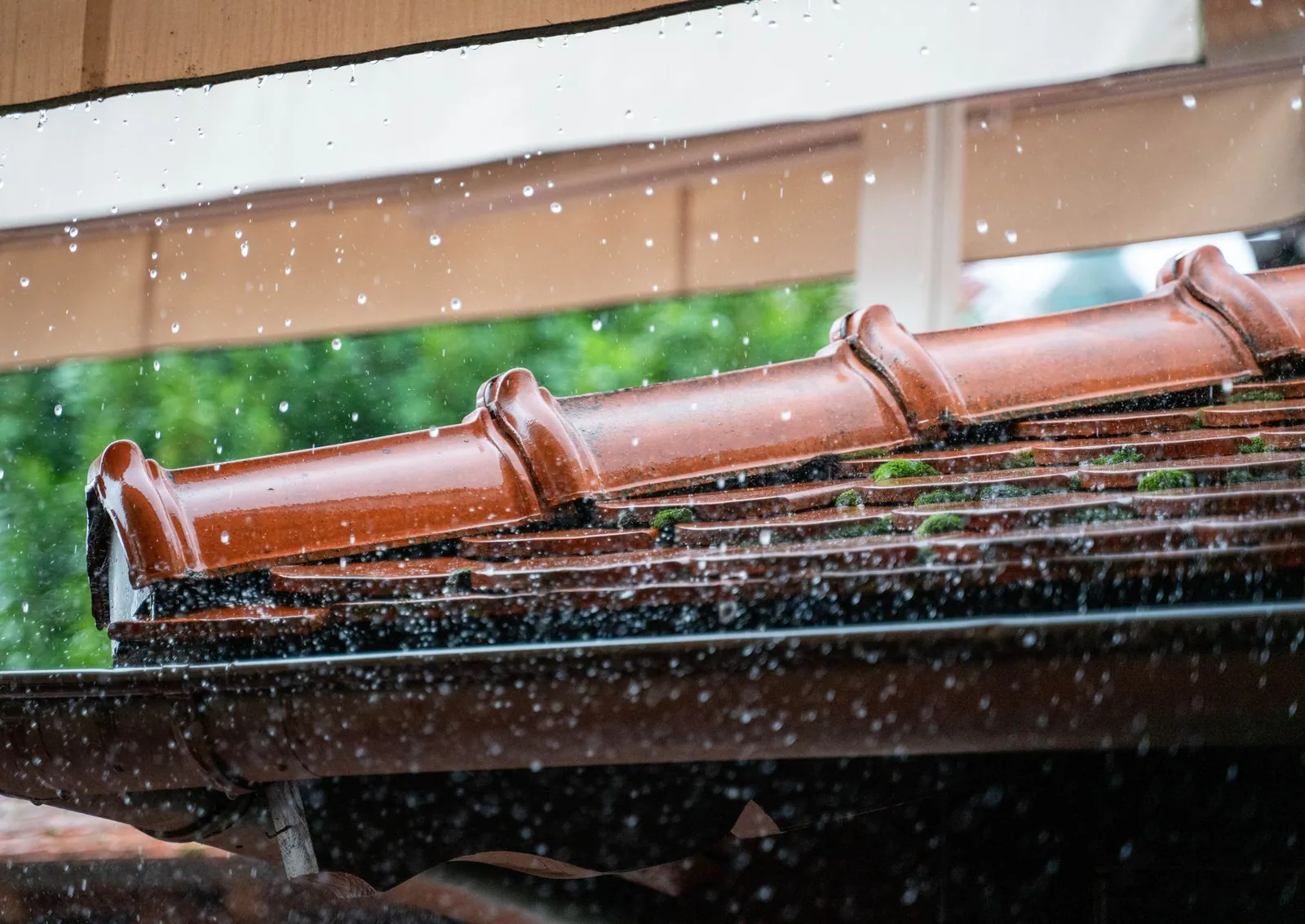 Bord de toiture en tuiles canal sous la pluie, avec de la mousse installée entre les rangs