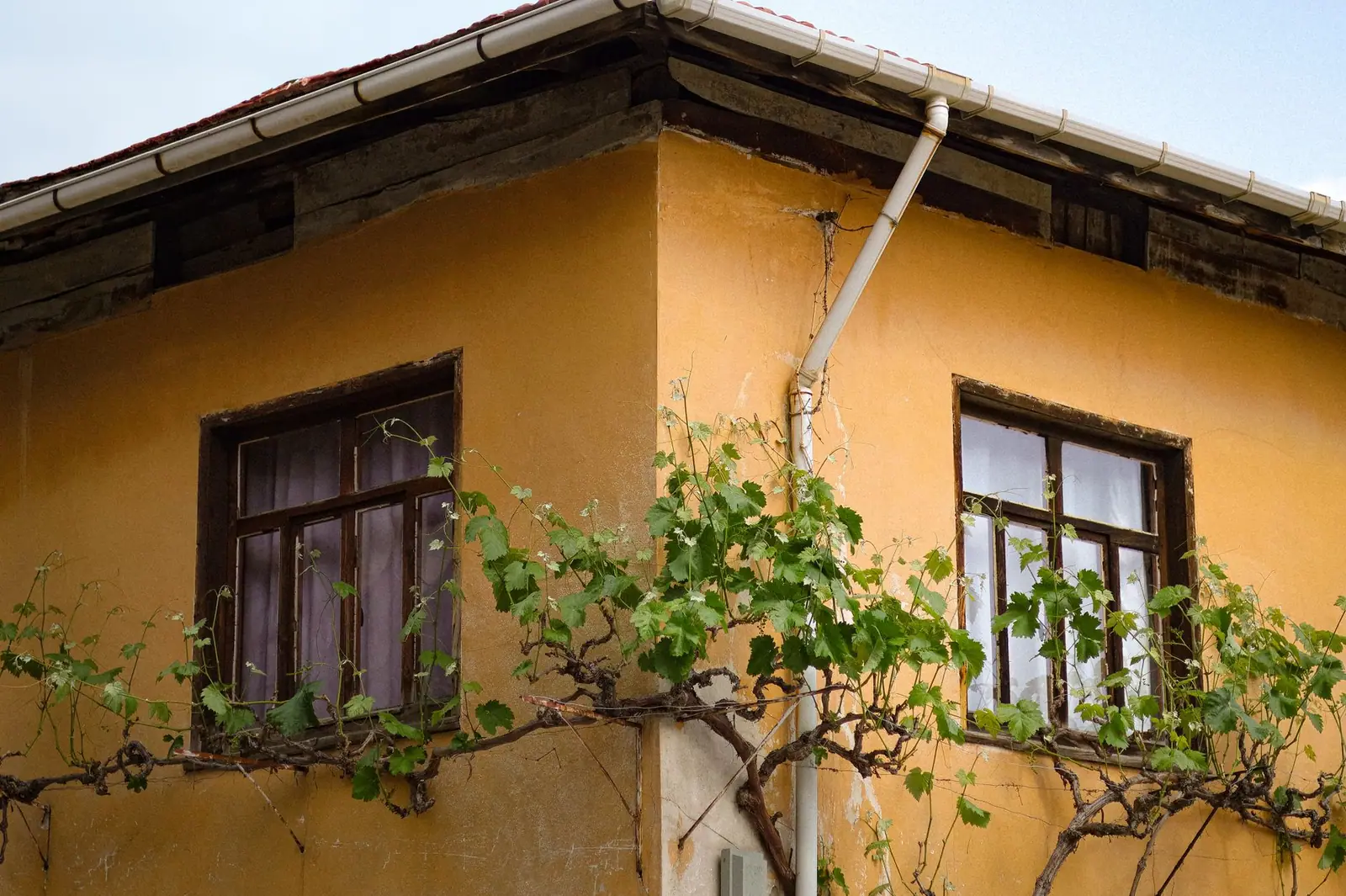 Angle d'une maison ancienne à enduit ocre, avec sa descente d'eau métallique fixée en façade