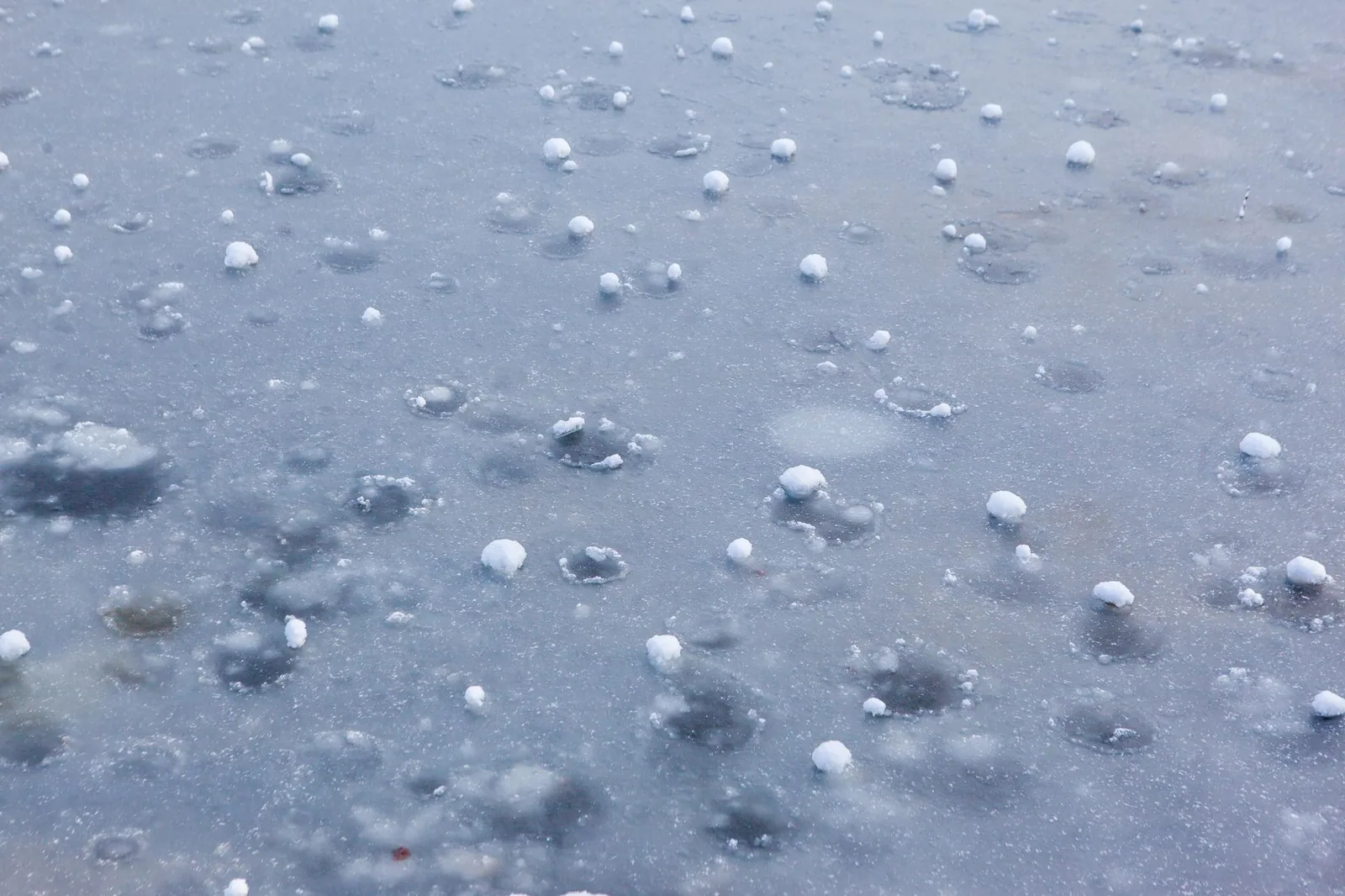 Grêlons déposés sur une surface mouillée après un orage