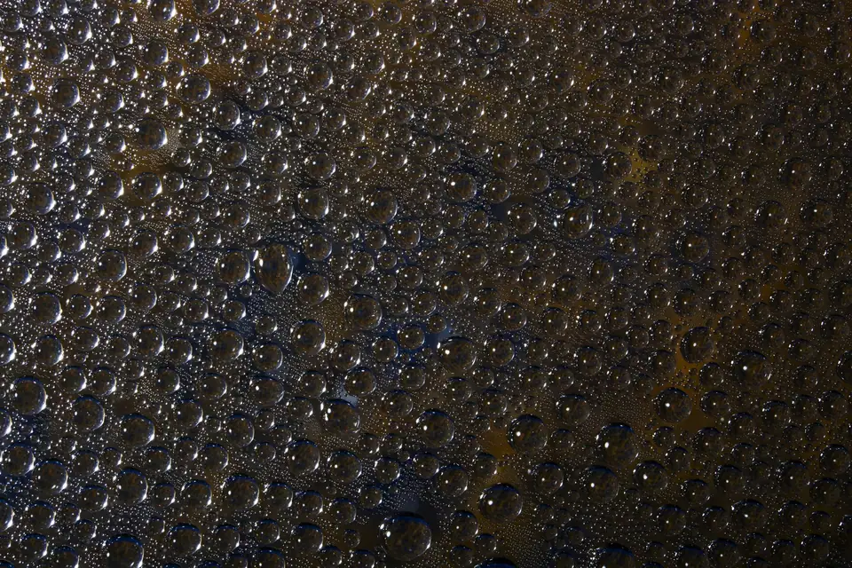 Fines gouttelettes d'eau déposées sur une surface sombre et texturée