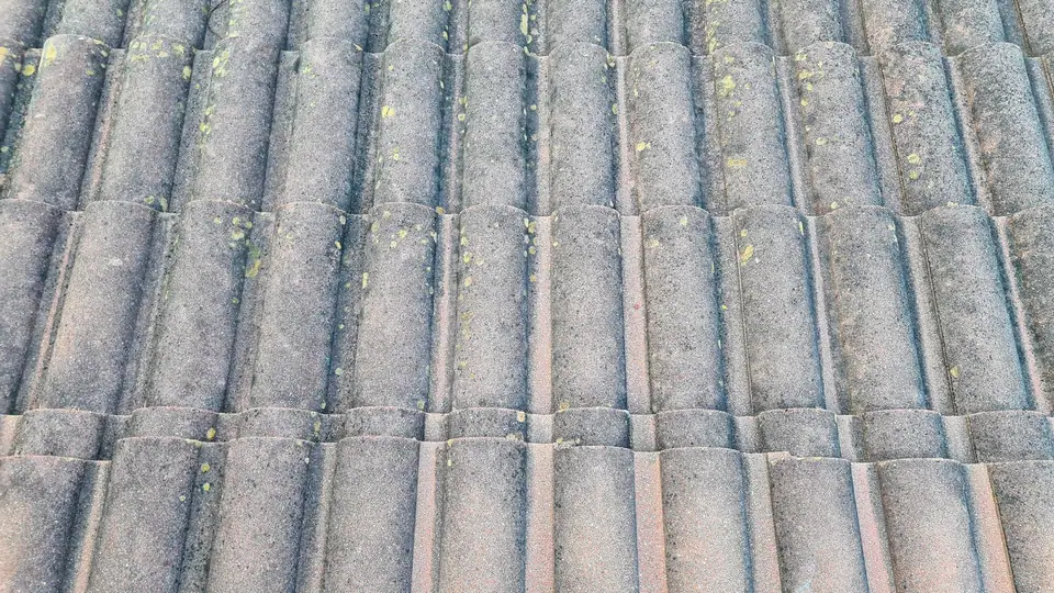 Versant de tuiles grises colonisé par plaques, la couleur du matériau ne se devine plus qu'entre les taches
