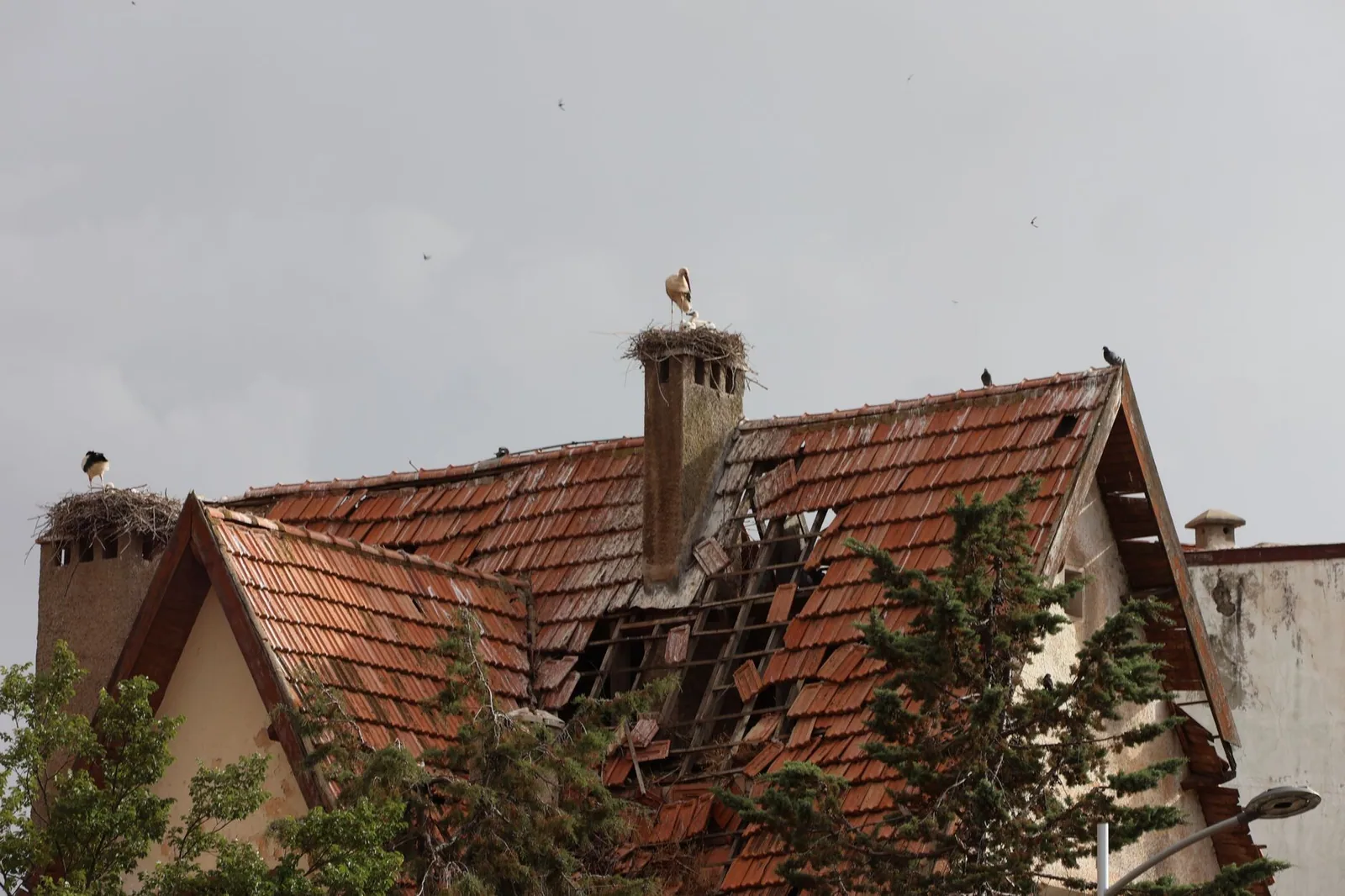 Maison couverte de tuiles, lucarnes et souches visibles sur le versant