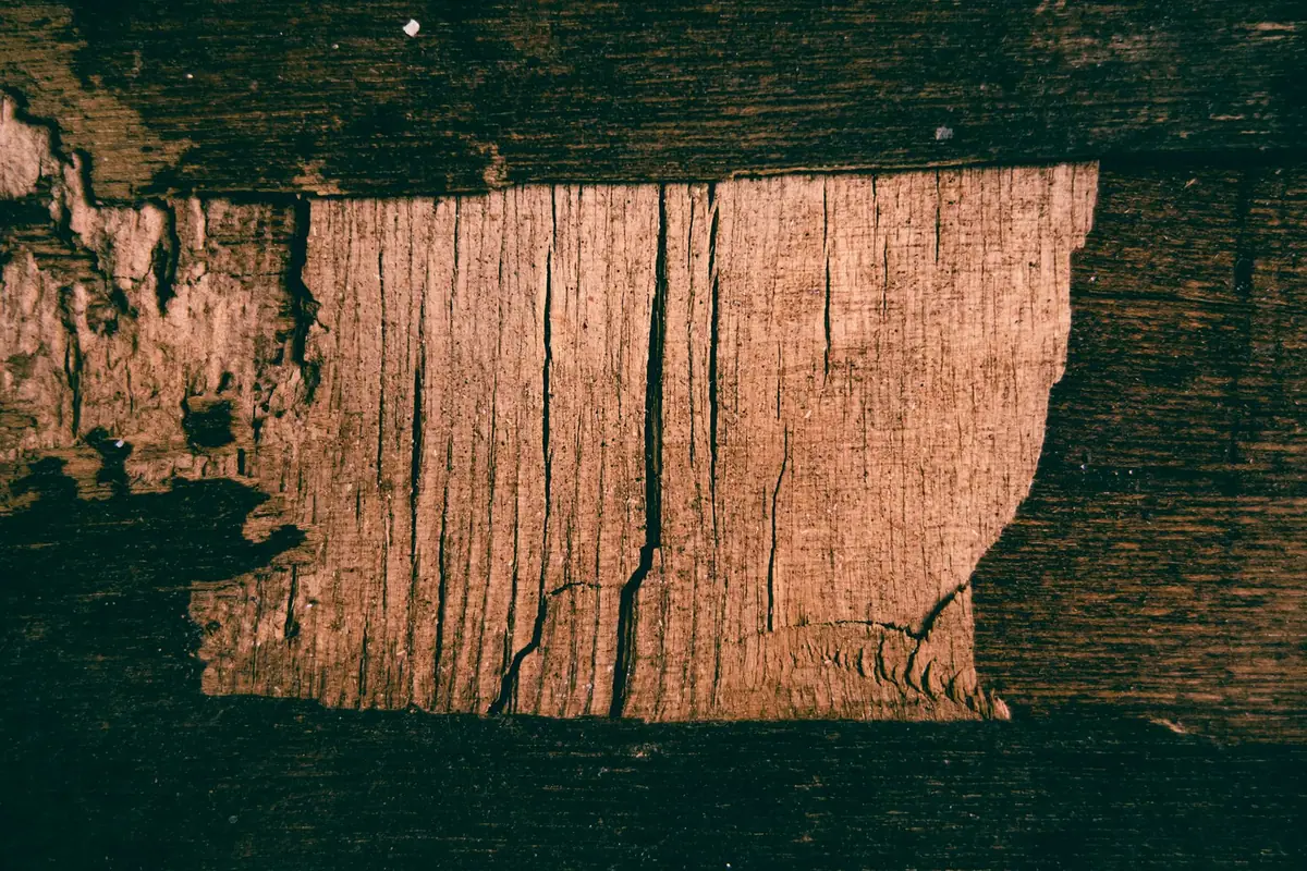 Pièce de bois dont la surface a été rongée, laissant apparaître les fibres à nu