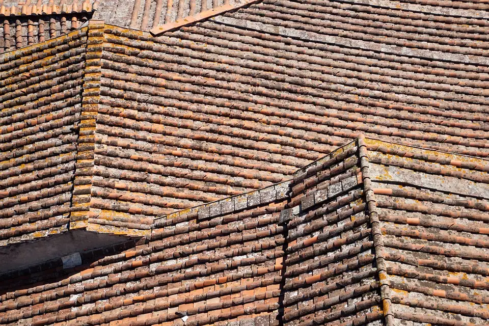 Toitures anciennes usées et couvertes de mousse, vues depuis un point haut
