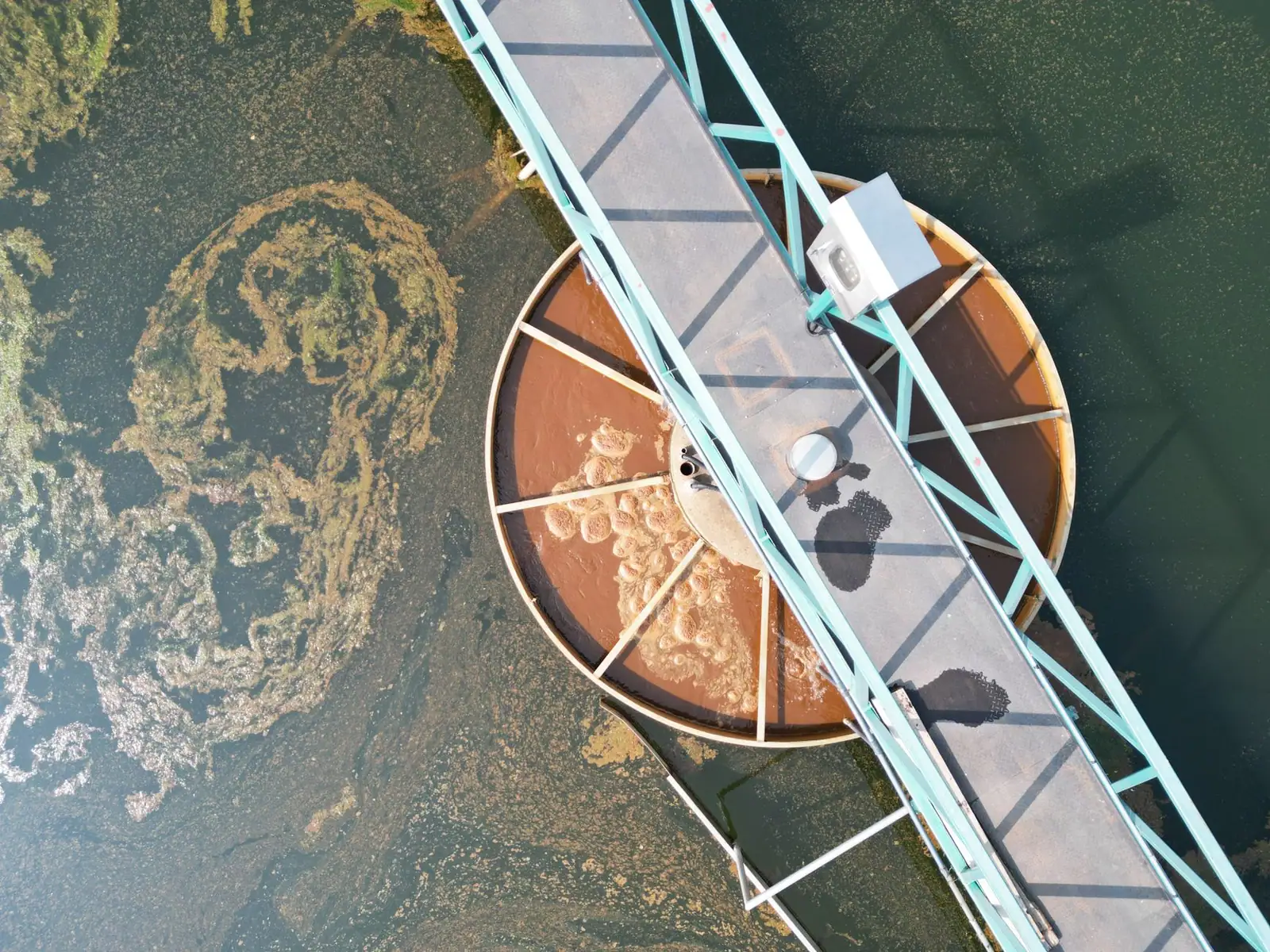 Vue rapprochée d'une surface extérieure colonisée par les algues et la mousse